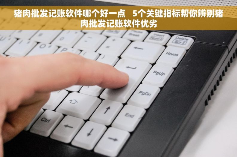 猪肉批发记账软件哪个好一点   5个关键指标帮你辨别猪肉批发记账软件优劣