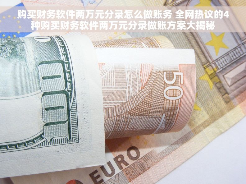 购买财务软件两万元分录怎么做账务 全网热议的4种购买财务软件两万元分录做账方案大揭秘
