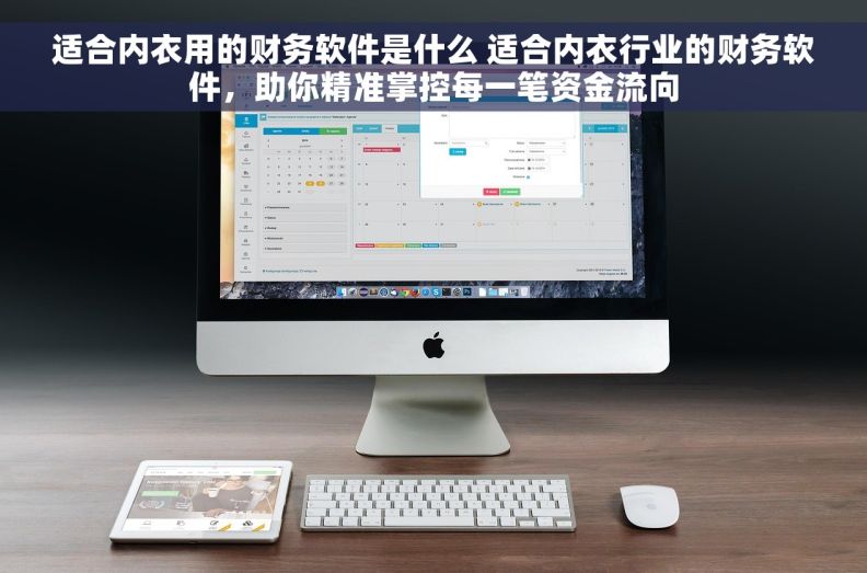 适合内衣用的财务软件是什么 适合内衣行业的财务软件，助你精准掌控每一笔资金流向