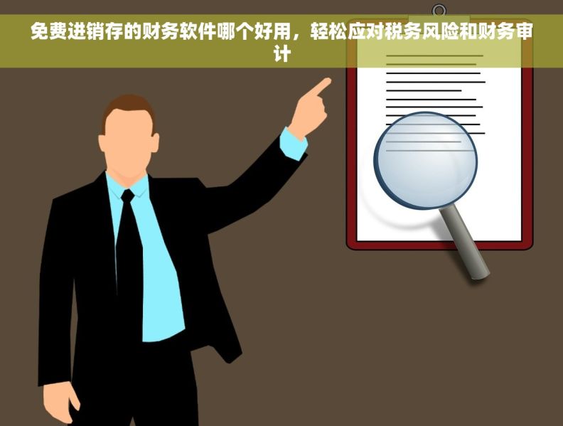免费进销存的财务软件哪个好用，轻松应对税务风险和财务审计