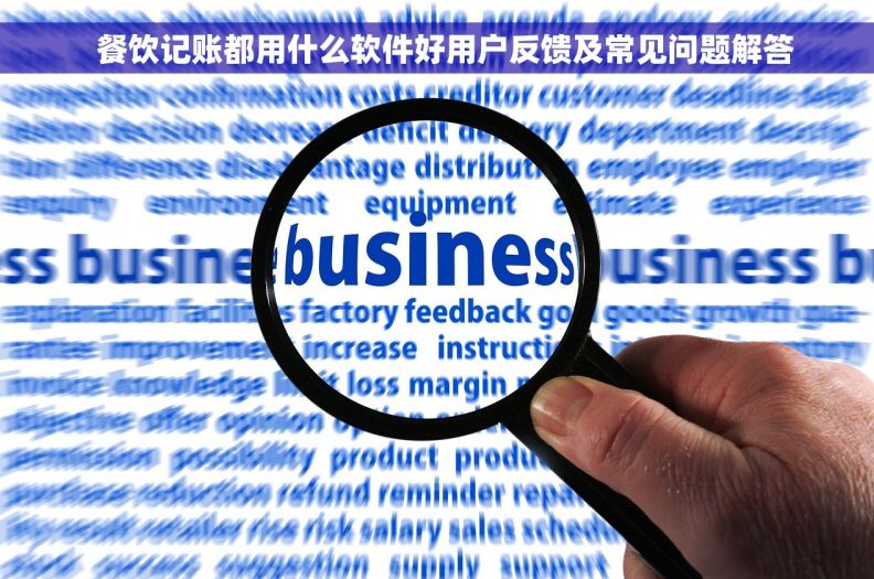   餐饮记账都用什么软件好用户反馈及常见问题解答