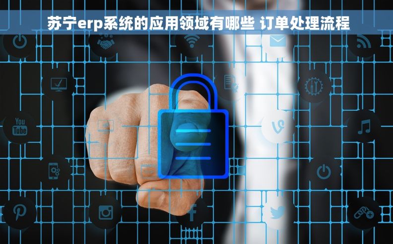  苏宁erp系统的应用领域有哪些 订单处理流程