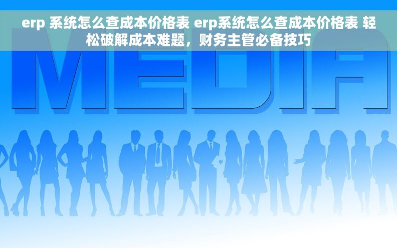erp 系统怎么查成本价格表 erp系统怎么查成本价格表 轻松破解成本难题，财务主管必备技巧