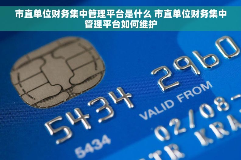 市直单位财务集中管理平台是什么 市直单位财务集中管理平台如何维护