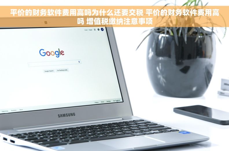 平价的财务软件费用高吗为什么还要交税 平价的财务软件费用高吗 增值税缴纳注意事项
