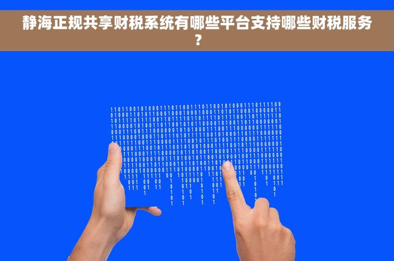 静海正规共享财税系统有哪些平台支持哪些财税服务？
