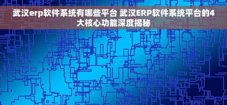 武汉erp软件系统有哪些平台 武汉ERP软件系统平台的4大核心功能深度揭秘