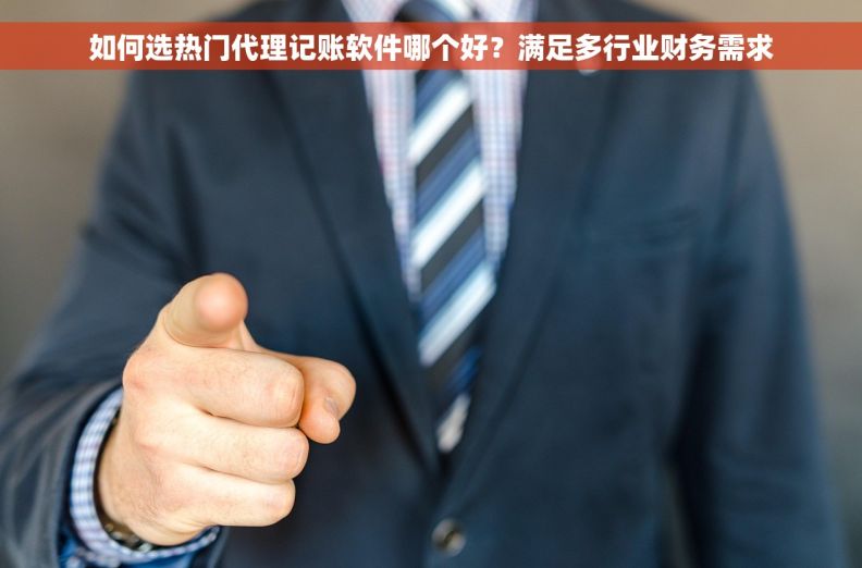 如何选热门代理记账软件哪个好？满足多行业财务需求