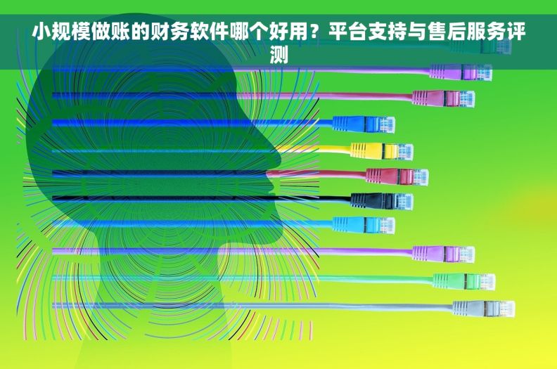 小规模做账的财务软件哪个好用？平台支持与售后服务评测
