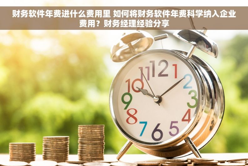 财务软件年费进什么费用里 如何将财务软件年费科学纳入企业费用？财务经理经验分享