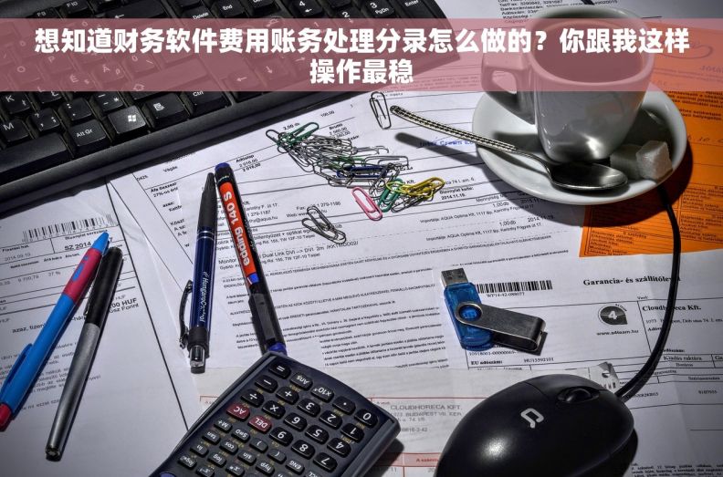想知道财务软件费用账务处理分录怎么做的？你跟我这样操作最稳