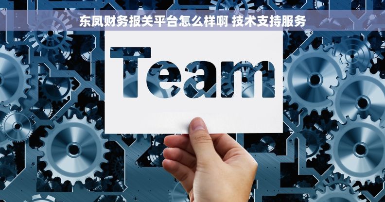 东凤财务报关平台怎么样啊 技术支持服务