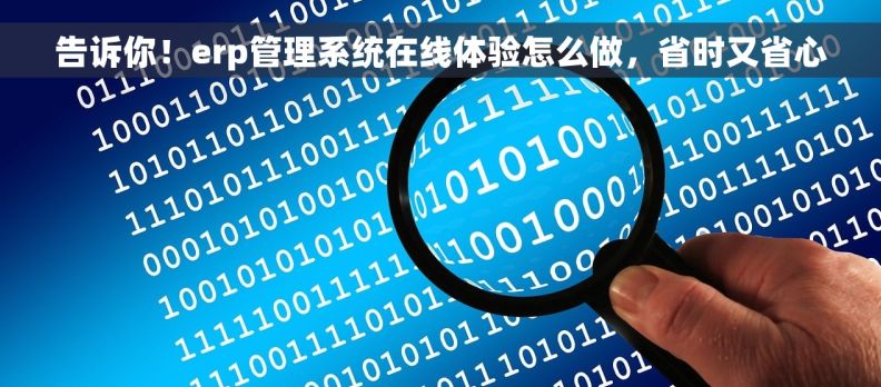 告诉你！erp管理系统在线体验怎么做，省时又省心