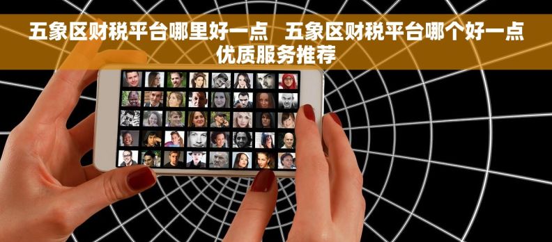 五象区财税平台哪里好一点   五象区财税平台哪个好一点优质服务推荐