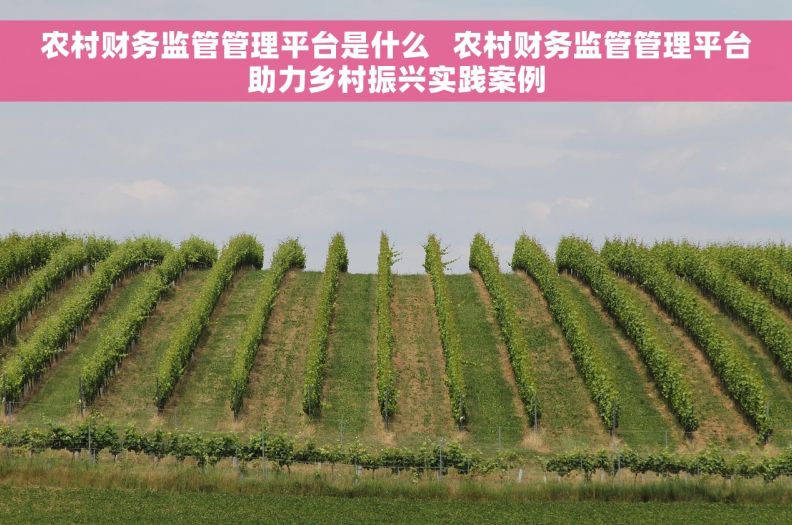 农村财务监管管理平台是什么   农村财务监管管理平台助力乡村振兴实践案例