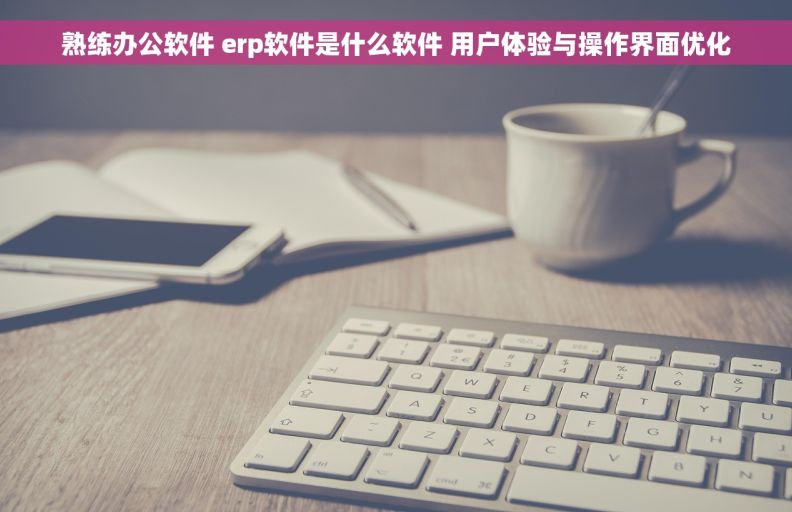 熟练办公软件 erp软件是什么软件 用户体验与操作界面优化
