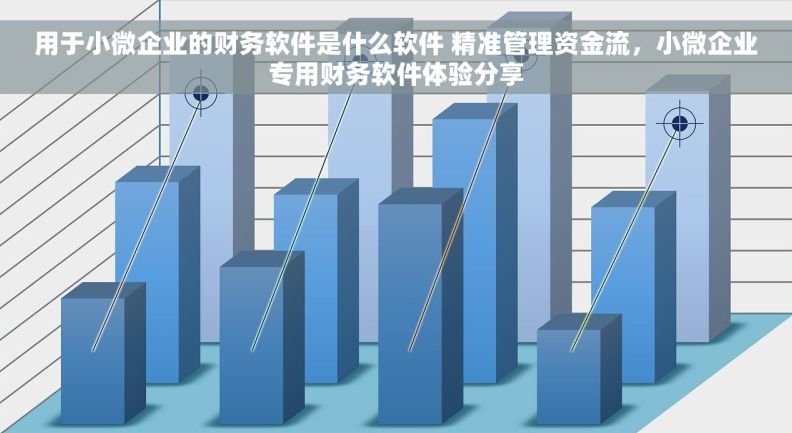 用于小微企业的财务软件是什么软件 精准管理资金流，小微企业专用财务软件体验分享