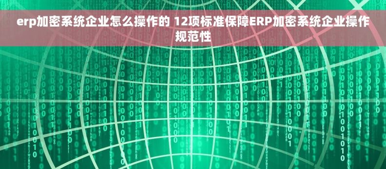 erp加密系统企业怎么操作的 12项标准保障ERP加密系统企业操作规范性