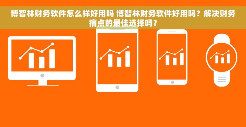 博智林财务软件怎么样好用吗 博智林财务软件好用吗？解决财务痛点的最佳选择吗？