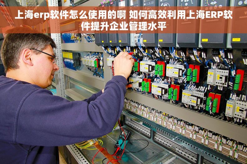 上海erp软件怎么使用的啊 如何高效利用上海ERP软件提升企业管理水平