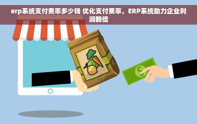 erp系统支付费率多少钱 优化支付费率，ERP系统助力企业利润翻倍
