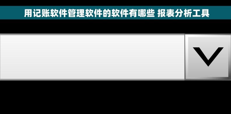 用记账软件管理软件的软件有哪些 报表分析工具 用记账软件管理软件的软件有哪些 报表分析工具