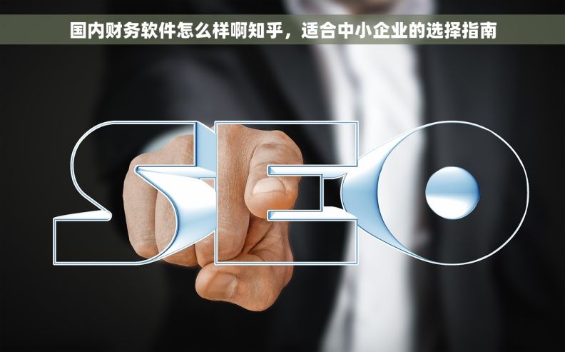 国内财务软件怎么样啊知乎,适合中小企业的选择指南 国内财务软件怎么样啊知乎,适合中小企业的选择指南