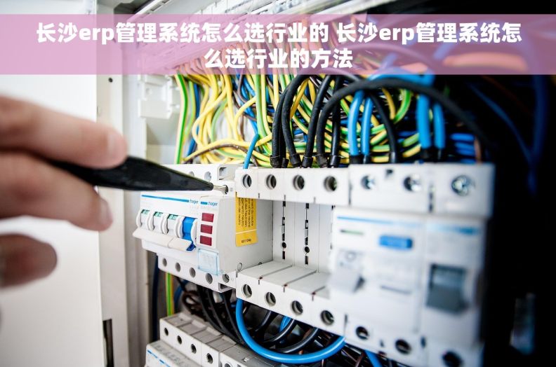 长沙erp管理系统怎么选行业的 长沙erp管理系统怎么选行业的方法