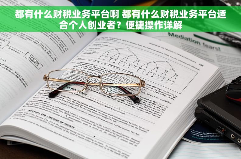 都有什么财税业务平台啊 都有什么财税业务平台适合个人创业者？便捷操作详解
