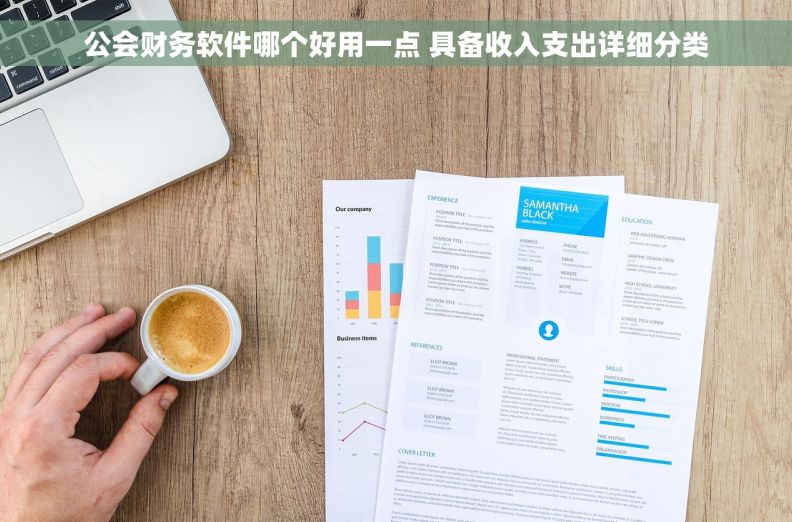 公会财务软件哪个好用一点 具备收入支出详细分类