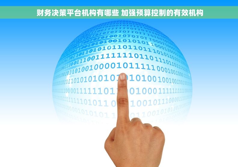  财务决策平台机构有哪些 加强预算控制的有效机构