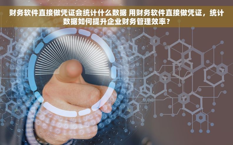 财务软件直接做凭证会统计什么数据 用财务软件直接做凭证，统计数据如何提升企业财务管理效率？