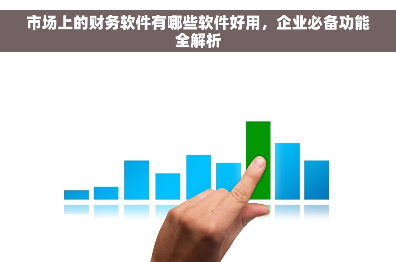 市场上的财务软件有哪些软件好用，企业必备功能全解析
