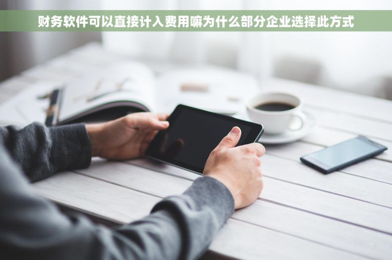 财务软件可以直接计入费用嘛为什么部分企业选择此方式