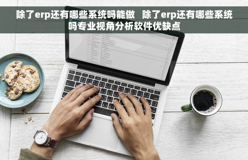 除了erp还有哪些系统吗能做   除了erp还有哪些系统吗专业视角分析软件优缺点