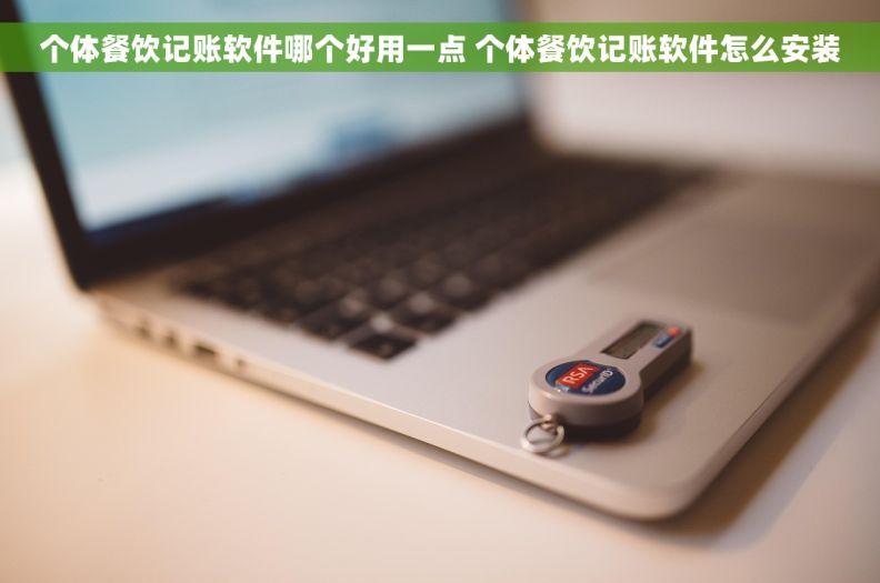 个体餐饮记账软件哪个好用一点 个体餐饮记账软件怎么安装