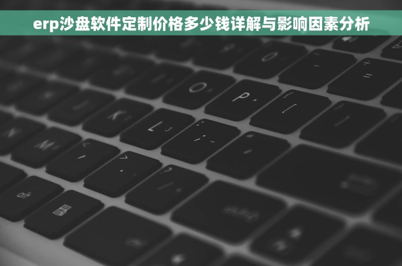 erp沙盘软件定制价格多少钱详解与影响因素分析