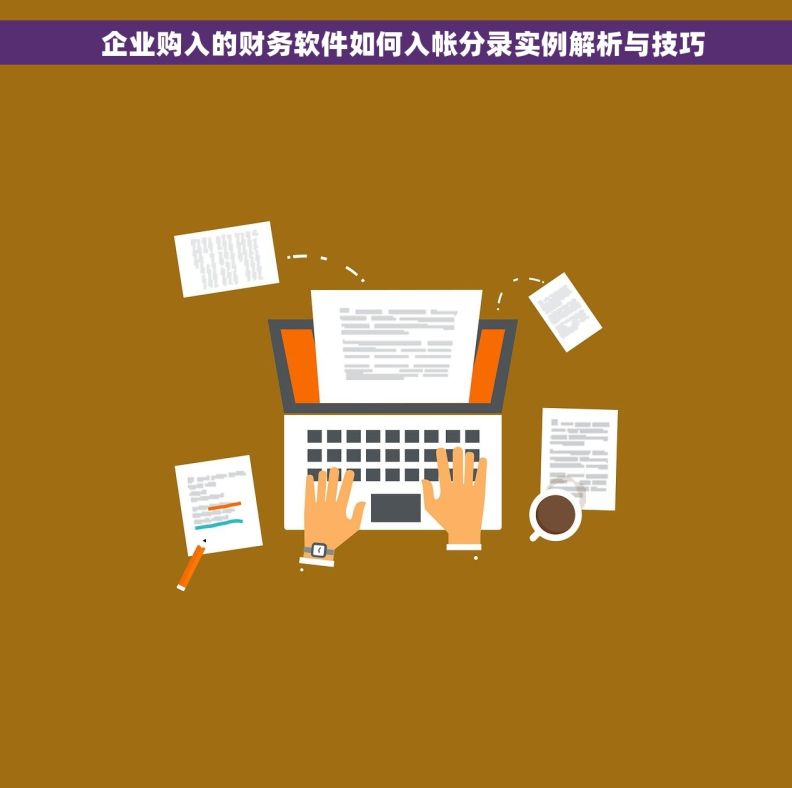   企业购入的财务软件如何入帐分录实例解析与技巧