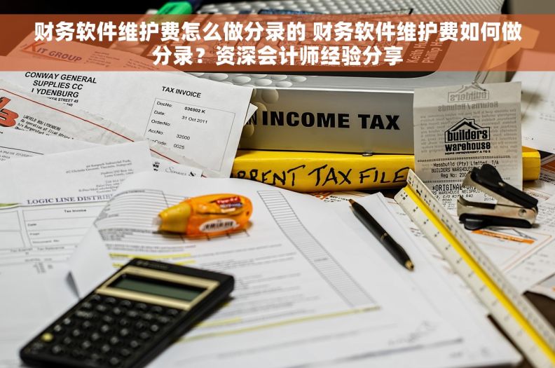 财务软件维护费怎么做分录的 财务软件维护费如何做分录？资深会计师经验分享