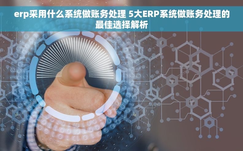 erp采用什么系统做账务处理 5大ERP系统做账务处理的最佳选择解析