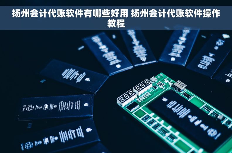 扬州会计代账软件有哪些好用 扬州会计代账软件操作教程