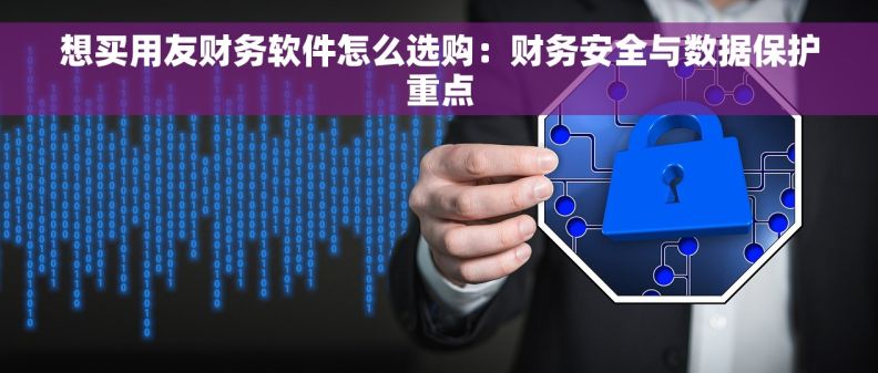 想买用友财务软件怎么选购：财务安全与数据保护重点