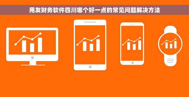 用友财务软件四川哪个好一点的常见问题解决方法