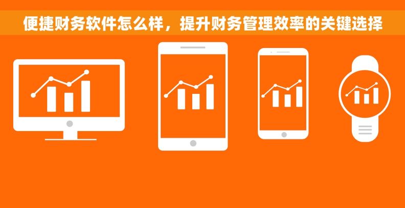 便捷财务软件怎么样,提升财务管理效率的关键选择 便捷财务软件怎么样,提升财务管理效率的关键选择