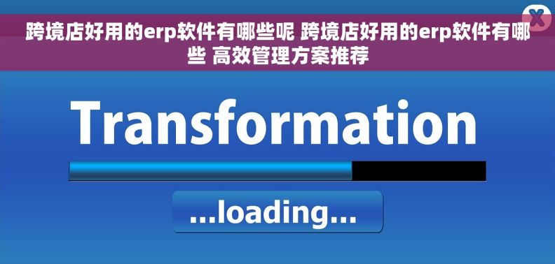 跨境店好用的erp软件有哪些呢 跨境店好用的erp软件有哪些 高效管理方案推荐