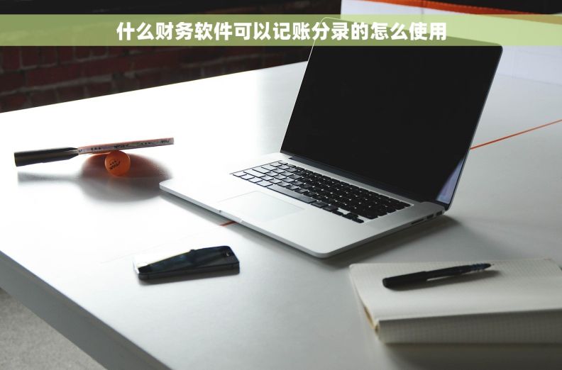 什么财务软件可以记账分录的怎么使用