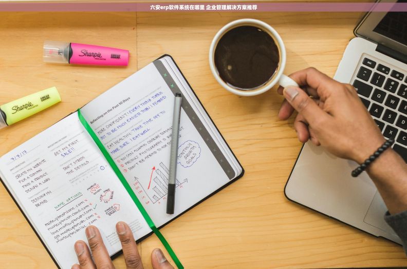六安erp软件系统在哪里 企业管理解决方案推荐