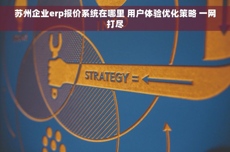 苏州企业erp报价系统在哪里 用户体验优化策略 一网打尽