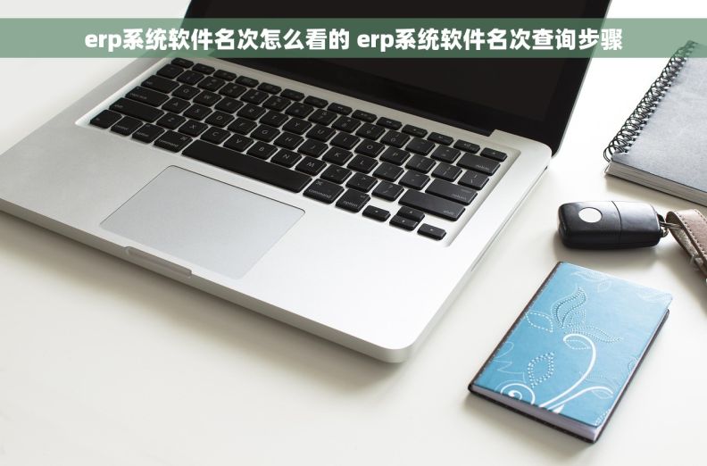 erp系统软件名次怎么看的 erp系统软件名次查询步骤