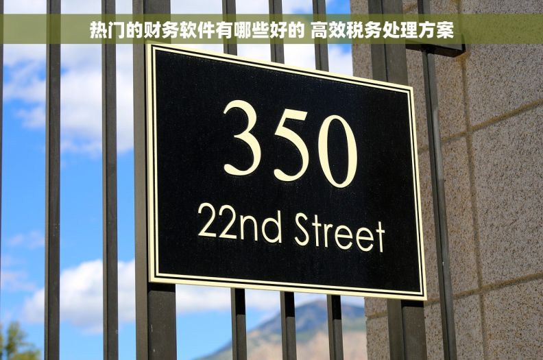 热门的财务软件有哪些好的 高效税务处理方案